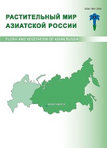 Flora and Vegetation of Asian Russia