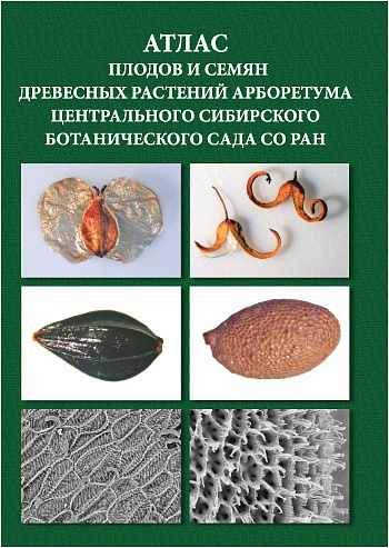 Атлас плодов и семян древесных растений арборетума Центрального сибирского ботанического сада СО РАН