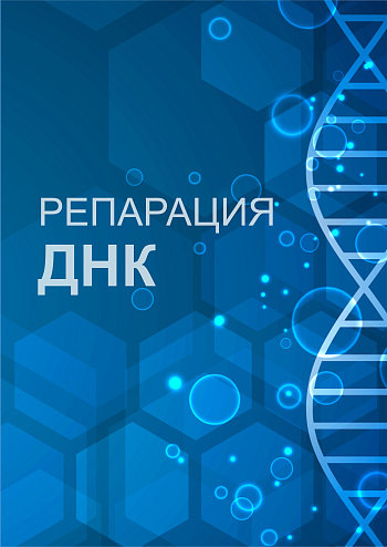 Репарация ДНК